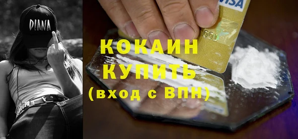 spice Богданович