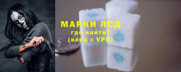 spice Богданович