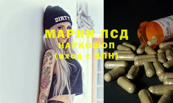 spice Богданович