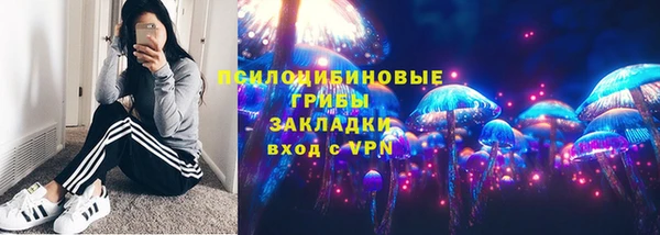 spice Богданович